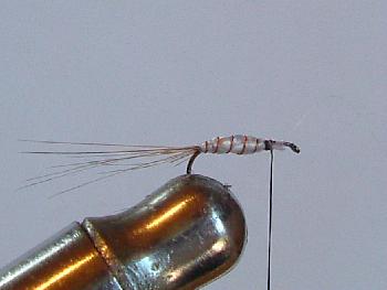 Montage de mouche