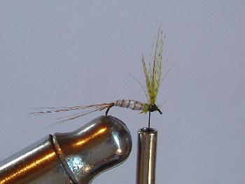 Montage de mouche