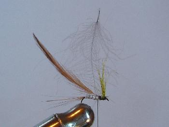 Montage de mouche