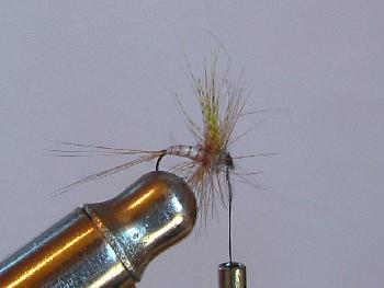Montage de mouche