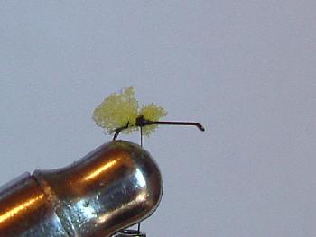 Montage de mouche