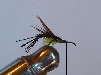 Montage de mouche