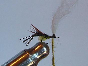 Montage de mouche