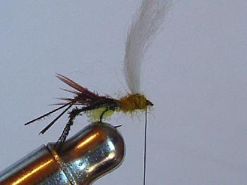 Montage de mouche