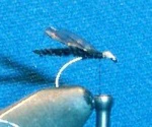 Montage de mouche