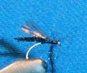 Montage de mouche