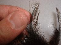 Montage de mouche