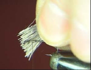 Montage de mouche