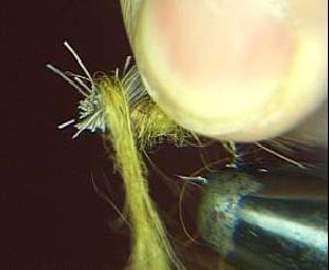 Montage de mouche