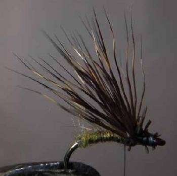 Montage de mouche