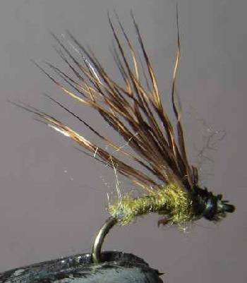 Fiche de montage : Sedge émergent