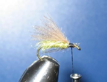 Montage de mouche