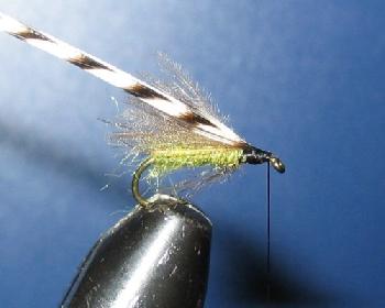 Montage de mouche