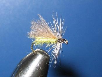 Fiche de montage : Sedge CDC/Hackle