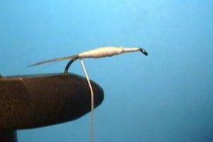 Montage de mouche