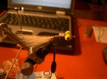 Montage de mouche
