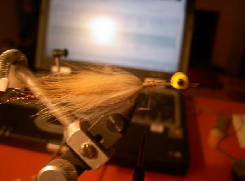 Montage de mouche