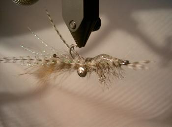 Fiche de montage : Crevette phosphorescente