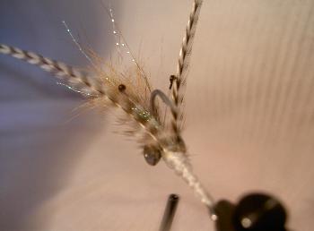 Montage de mouche