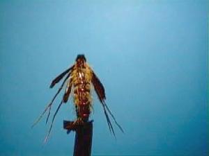 Montage de mouche