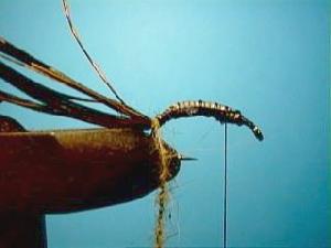 Montage de mouche
