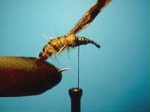 Montage de mouche