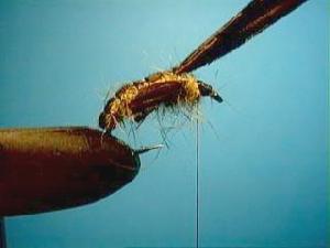 Montage de mouche