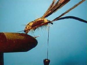 Montage de mouche