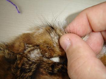 Montage de mouche