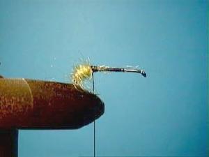 Montage de mouche