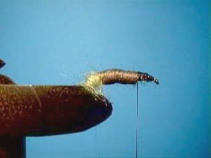 Montage de mouche