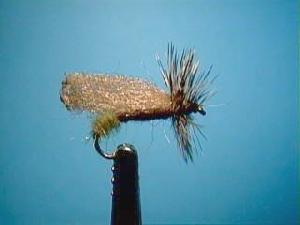 Sedge : cul vert Sedge : cul vert