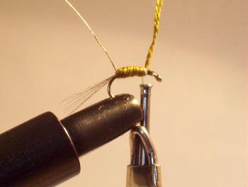 Montage de mouche