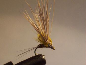 Montage de mouche