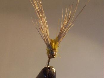 Montage de mouche