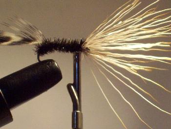 Montage de mouche
