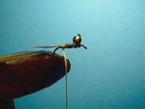 Montage de mouche