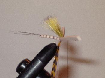 Montage de mouche