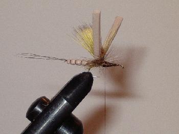 Montage de mouche