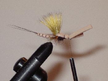 Montage de mouche