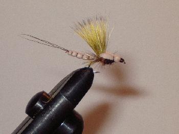 Montage de mouche