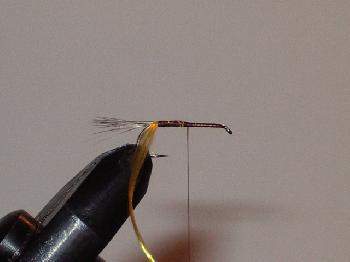 Montage de mouche
