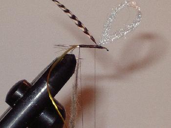 Montage de mouche