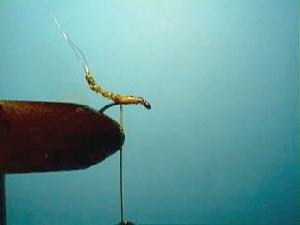 Montage de mouche