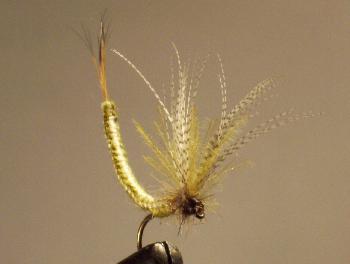 Montage de mouche