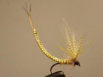 Fiche de montage : Mouche De Mai Corps détaché