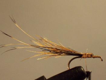 Montage de mouche