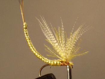 Montage de mouche