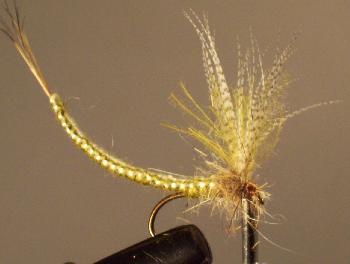 Montage de mouche