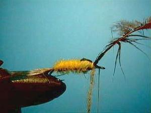 Montage de mouche